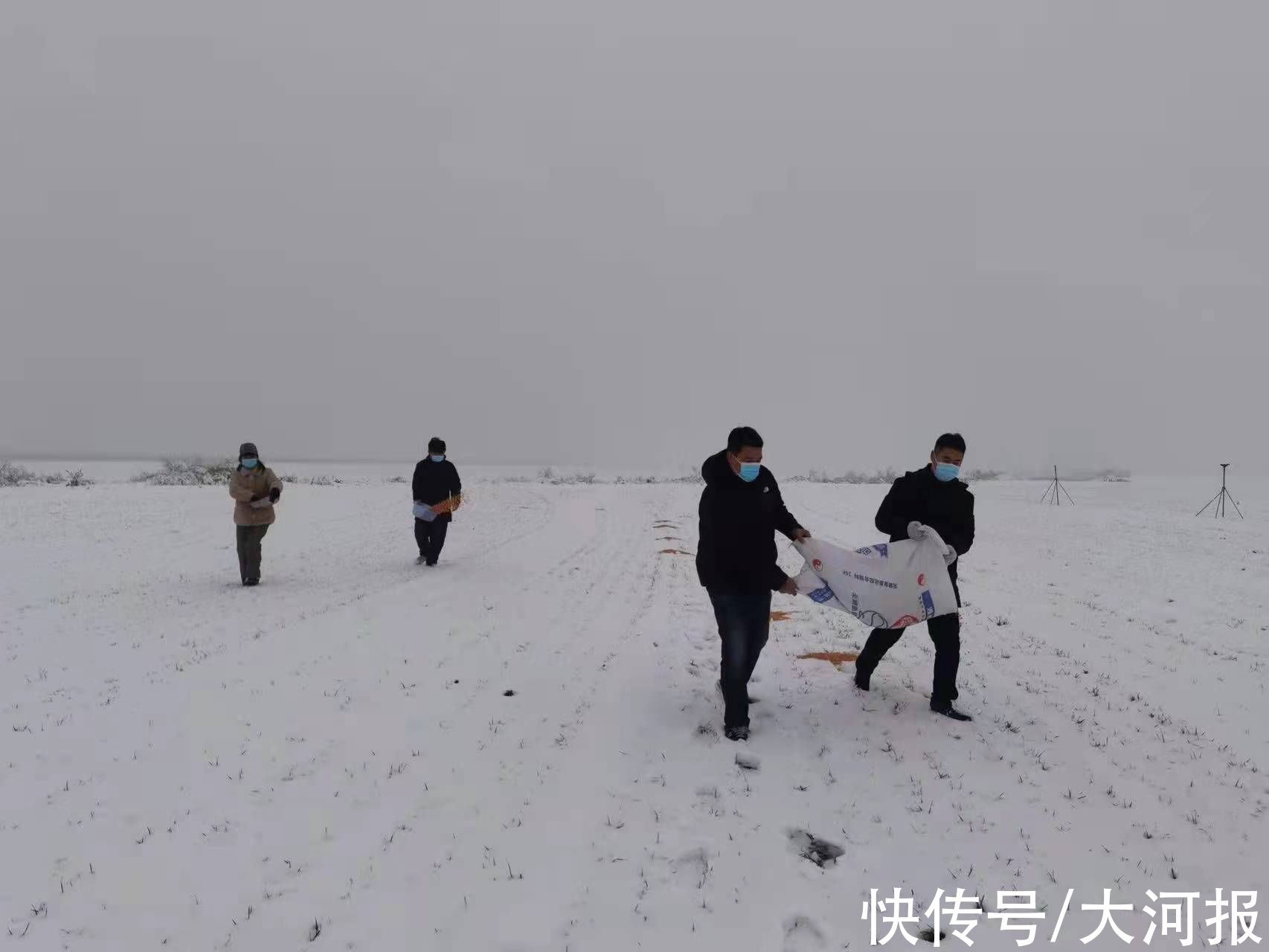 中牟县林业局|雪落黄河滩、候鸟不飞尽 林业部门为它们送“口粮”