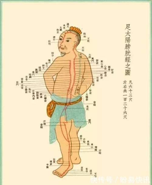 中医|世上本无病,只是瘀和堵!有这么一句话“百病源于经络堵”