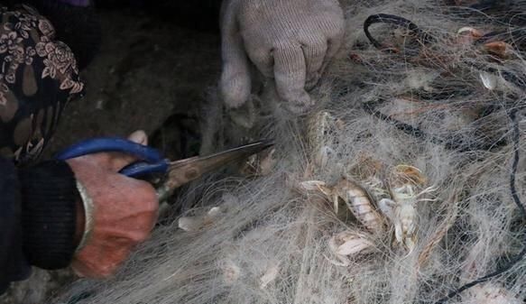 皮皮虾|皮皮虾2元一斤没人要,最后全扔掉,好多人去捡,网友还能吃吗