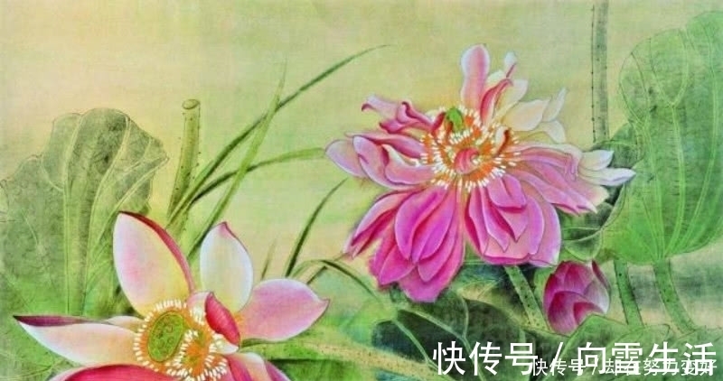 诗人&杨万里最唯美的一首诗,短短的四句,却是写出了世间最美的荷花!