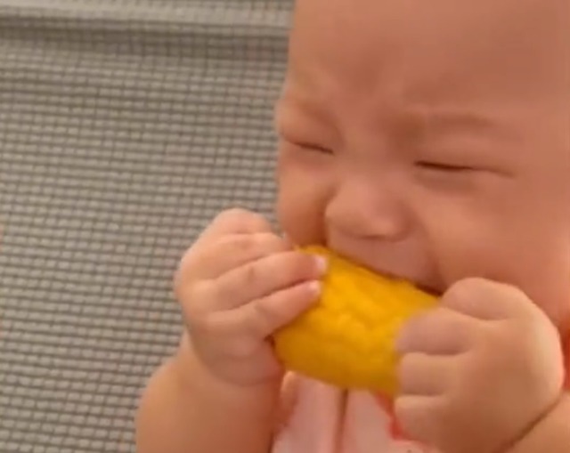 玉米|笑哭!广东一萌宝抱着玉米一顿猛“操作”,最后成功把自己整哭了