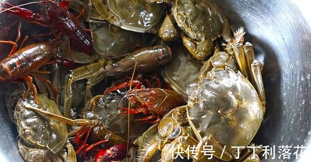 中秋节|入秋后,螃蟹这做法太实用了,不油炸不清蒸,味道鲜美还不掉蟹脚!