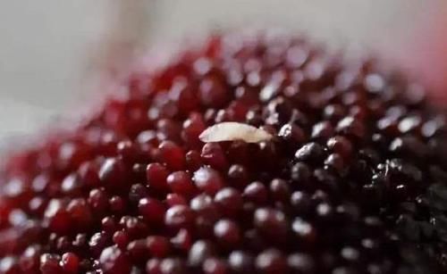 含有寄生虫的水果排行榜,这4种都上榜了,很多