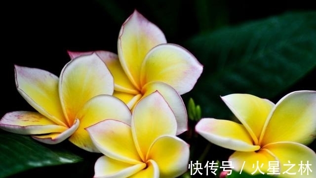 幸福|8月天降爱情，顺利牵手，喜迎幸福