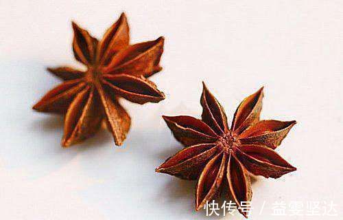 八角放进白醋里真实用,能给家里省下不少钱,简单实用,快试试