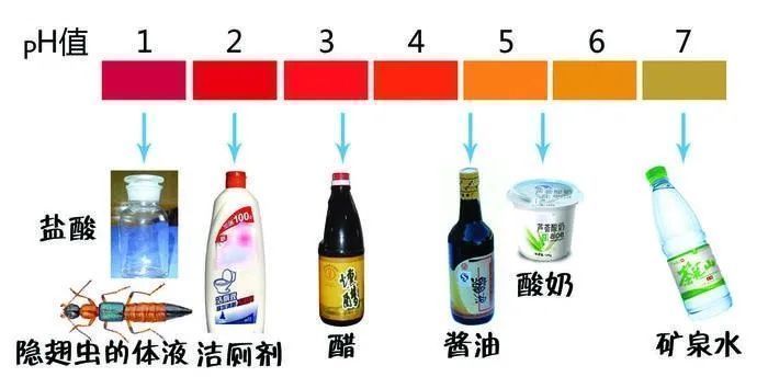 ph值|6岁男孩只因惹了这个小家伙脸部皮肤溃烂。麻烦就在“举手之间”