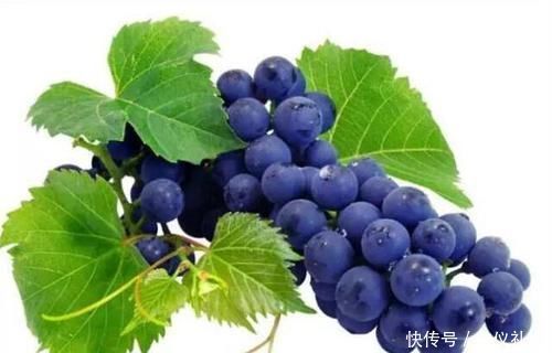 天络瓜|聪明人爱吃3类食物，养护血管，降压减脂，促进身体排毒