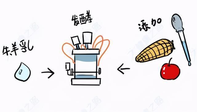 红糖|超市里的“假红糖”、“假肉”、“假酸奶”，1分钟学会辨别