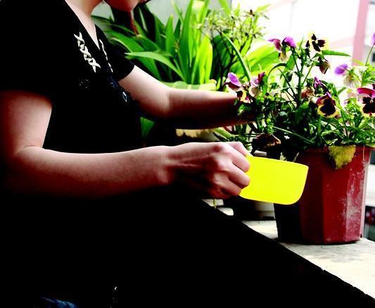 养花土壤“硬邦邦”,撒把“干肥”,瞬间变“肥沃”,养啥花都旺