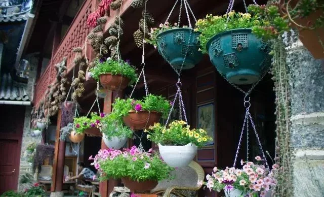 天下风物——《中国最美的尼姑庵，不烧香只种花！（一）》风光题照