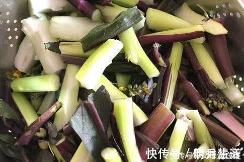 紫菜苔|人到中年想长寿,3种食物要多吃,营养丰富、滋补身体,好处多多