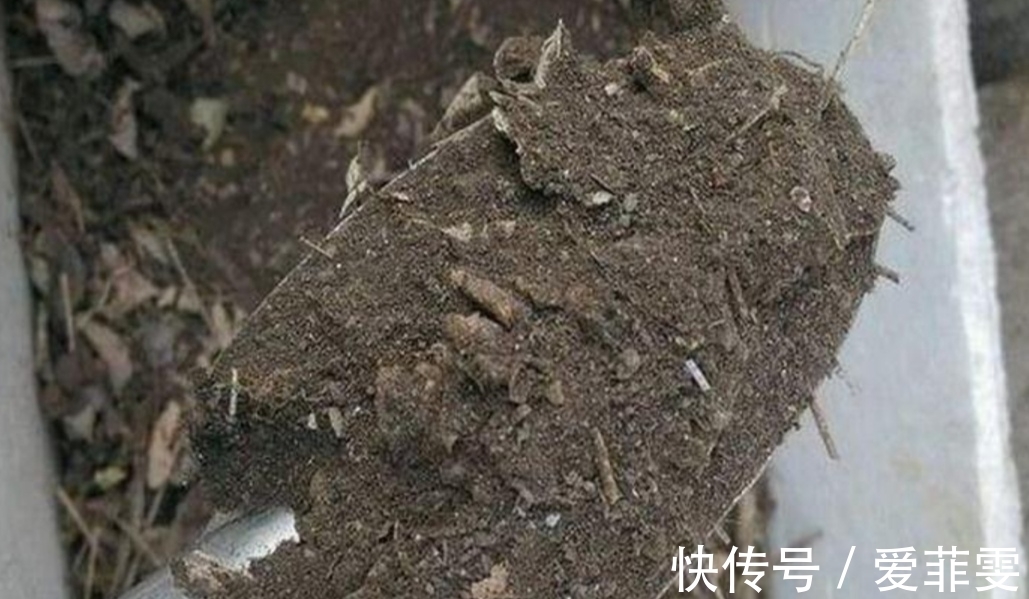 在家自制营养土,松软透气养分足,轻松养好各种花