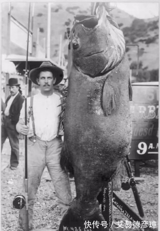 照片|28张你不会在课本里看到的精彩珍贵历史照片