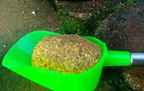 晚秋钓鲫鱼打窝的3大忌,打窝打对了才能爆护!