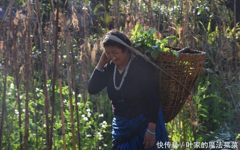 菜菜游天下系列:世界第三高峰干城章嘉 漫步神山下