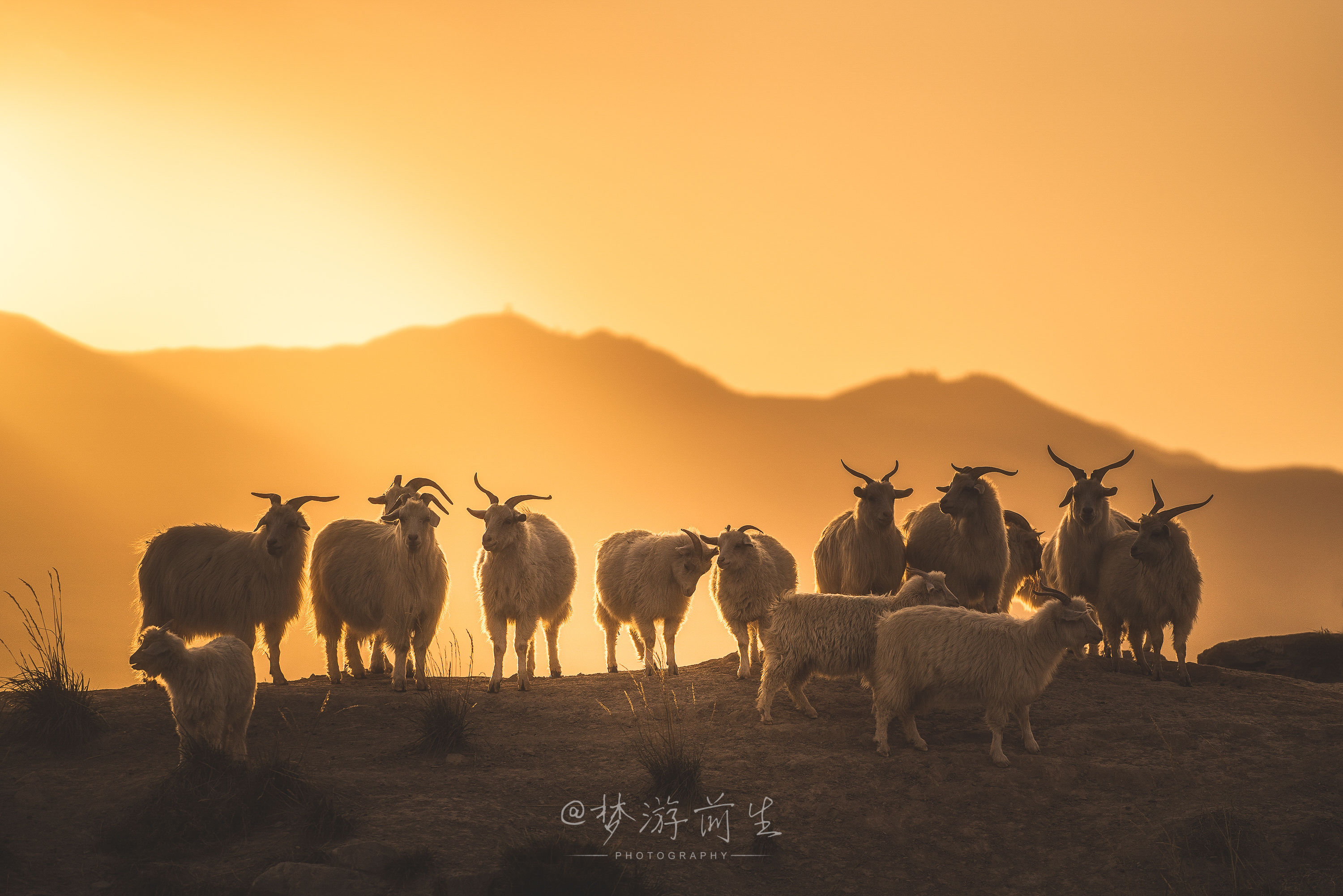 自驾游|从黄河石林到永泰古城，甘肃白银三天自驾游