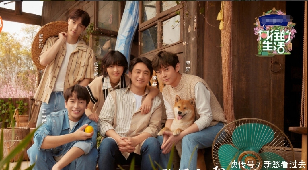 学校 张子枫被疑不爱去学校?自曝在校压力大,难怪她愿意待在《向往》