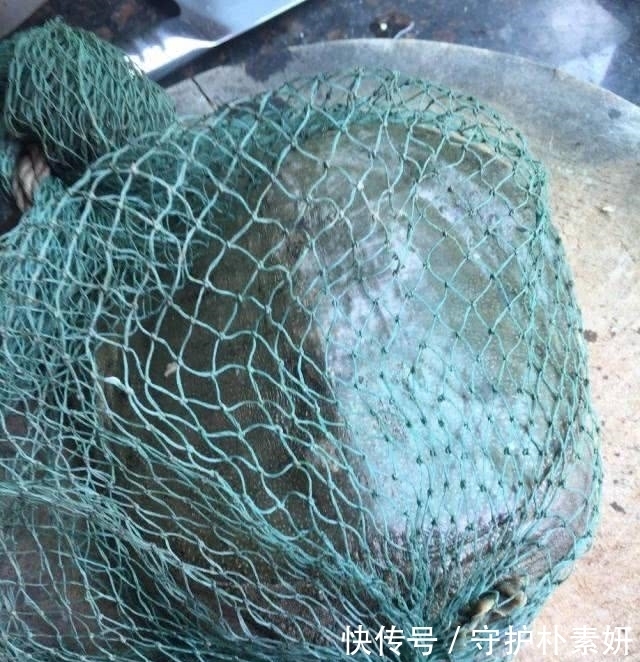 大爷|大爷洪水边上钓鱼，汹涌河水中钓起一“大物”，顿时心神不安