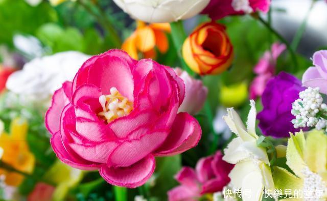 养儿怎知母艰辛