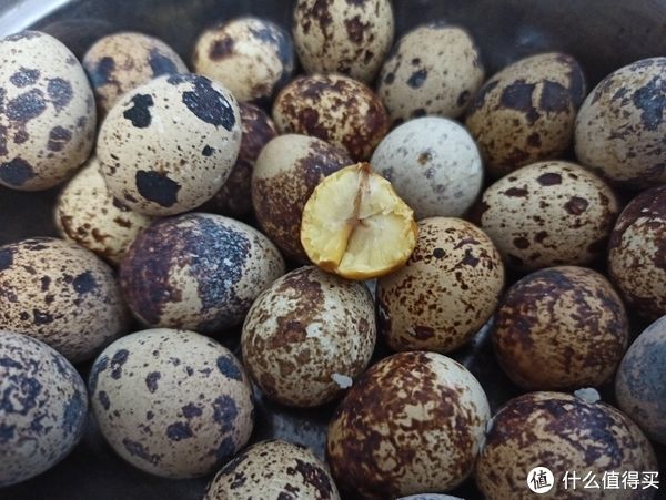 板栗|日常生活 篇四十七：用苏泊尔空气炸锅烤拼多多上买的板栗。