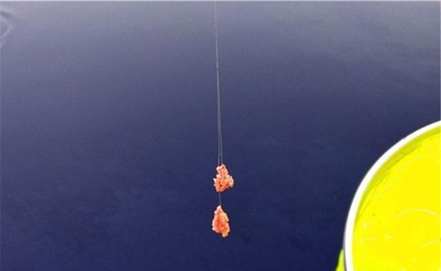 夏季野钓,经常用得到的2种钓法,钓行程和钓水皮的技巧要点