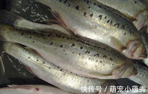 去市场买鱼,聪明人专挑这4种,好吃又便宜,鱼贩子都夸你是行家
