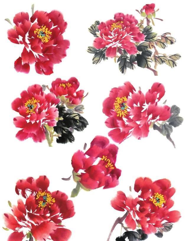 形态|紫、红牡丹花头写意画法与形态参考