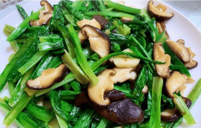 油麦菜|失眠最该多吃,简单易学,失眠好了,精神满满度夏