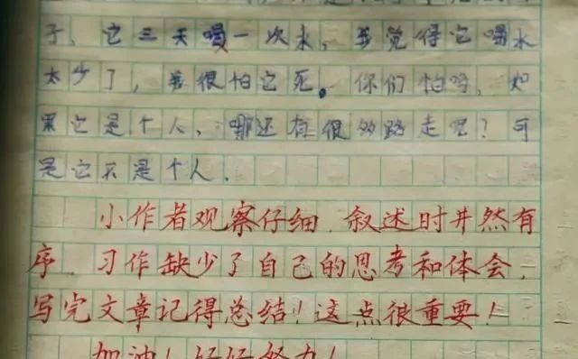 作业批改|小学女教师的手写体批改字迹，堪比“印刷体”，成为学生模仿焦点