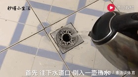 卫生间异味太难闻？放上它，一年不清洁都不会有异味！