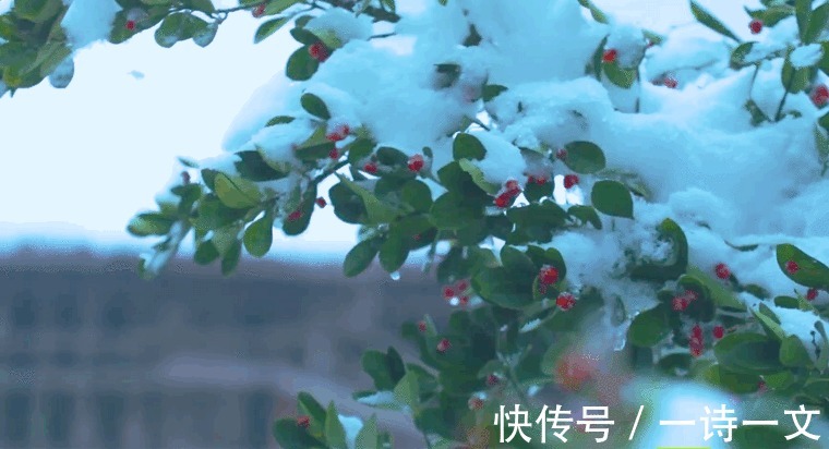 你是$自由与爱,死性不改