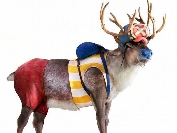 日本|日本推出海賊王真人版, 這娜美還行, 喬巴: ? ? ?