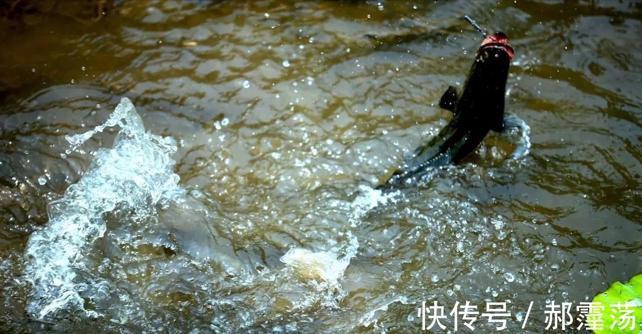 太空豆|野钓走水的四个处理方法，只要钓组能抛出去，风浪再大也不怕