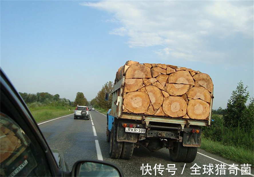 摄影|35张“活久见”的完美图片,强迫症瞬间被治愈了