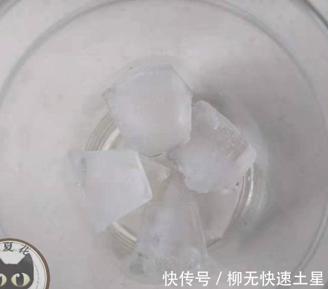 脆皮金桔|金桔柠檬绿茶,酸中带着甜,凉爽又解渴!