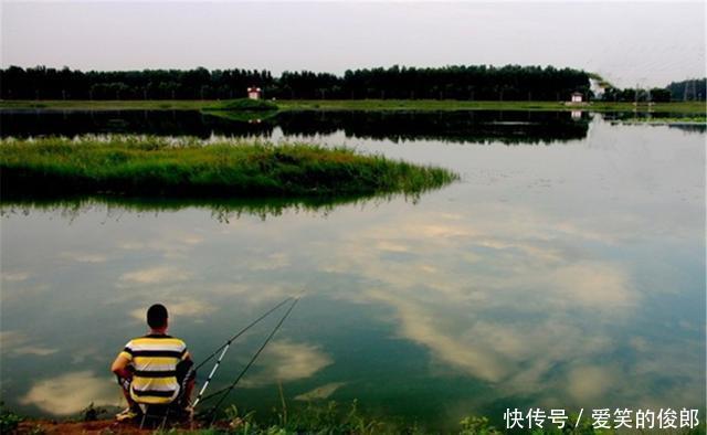 深水|盛夏时节钓鱼，钓深还是钓浅？要看天气和时间，鱼的位置是变化的