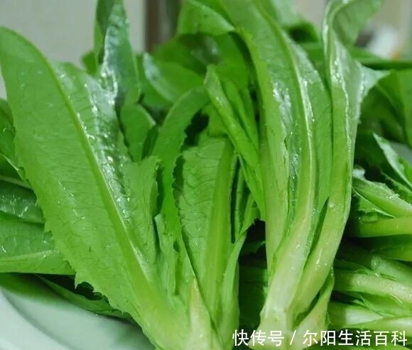 答案|生菜油麦菜什么时候种合适?答案来了