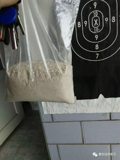 内脏|冬天养花埋点它，开春就疯长，1年不施肥一样绿油油！