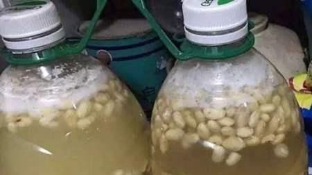 虎皮兰不见长、烂根多用上“4招”小方法,根系壮、叶片绿