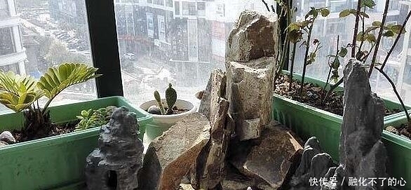 阳台|偷偷在阳台砖砌鱼池, 邻居来玩, 去物业把我投诉了