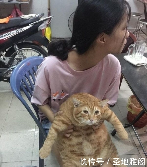 大哥的防晒做就是高啊,看着都凉爽,不过还是祈求老天爷