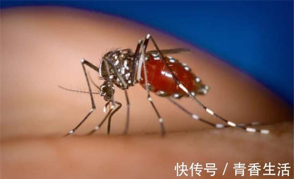 冷饮|这4件夏天让孕妇舒服的事,件件让胎宝宝不舒服,不能多做