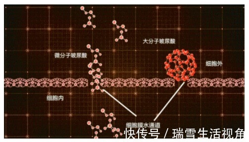 精华液 护肤品可以抗初老吗？圣歌娜带你体验奢侈新品V脸精华液!