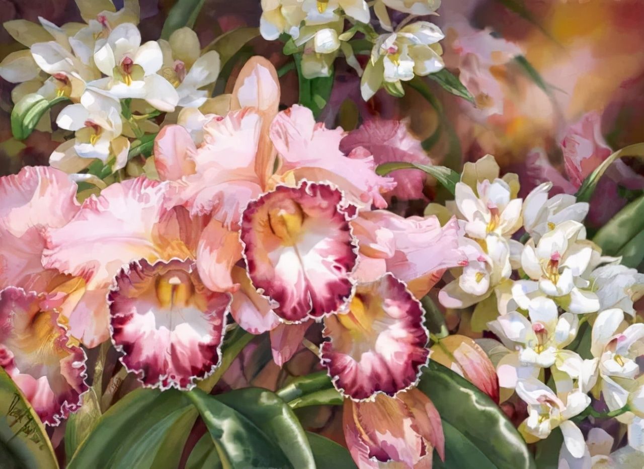 水彩&水彩画欣赏：澳大利亚水彩画家30张水彩花卉，动人