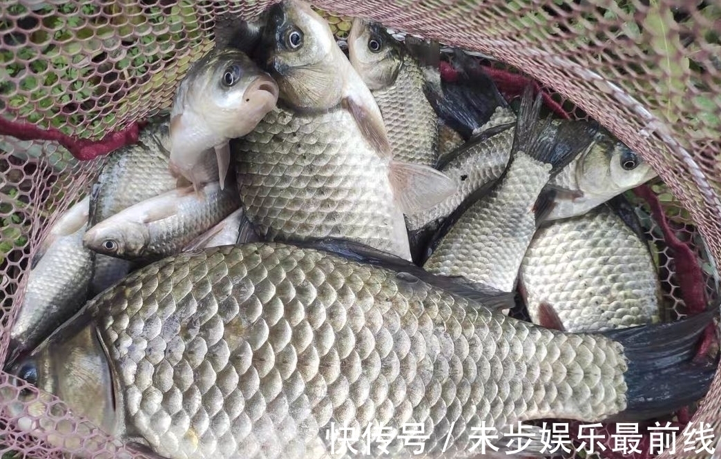 新手|退水该怎么钓鱼?老手和新手的区别就在这,看清楚了!