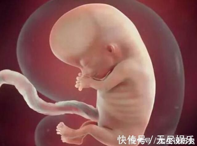 畸形|十月怀胎,哪几周是胎儿畸形的高发期看完后明白了