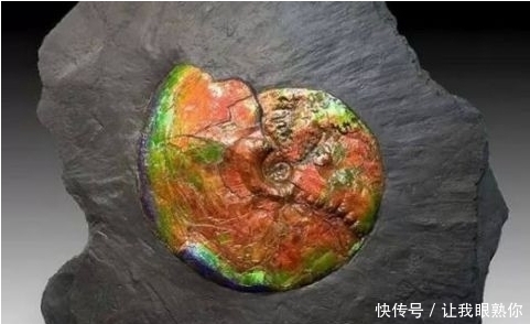 全世界最贵的石头:钻石在它们面前甚至连渣都不是。