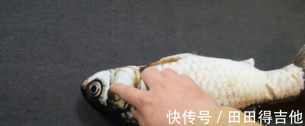鱼肉|买鱼时,看到这样的鱼快走开,免费白送都别要,快告诉家里人!