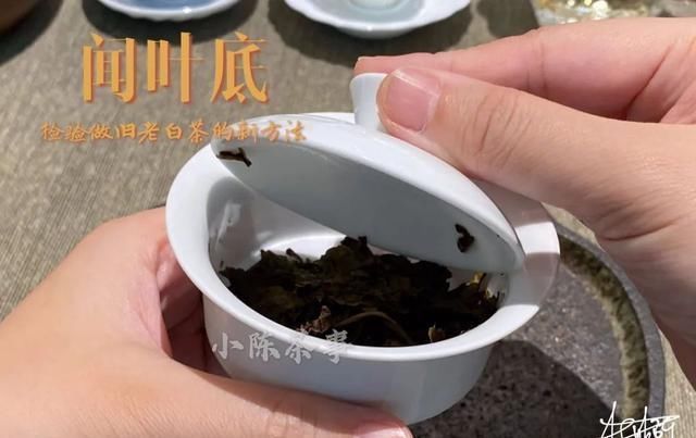 茶友|别单纯看黄叶片了,鉴别做旧老白茶用这个新招术,老茶友们都在用