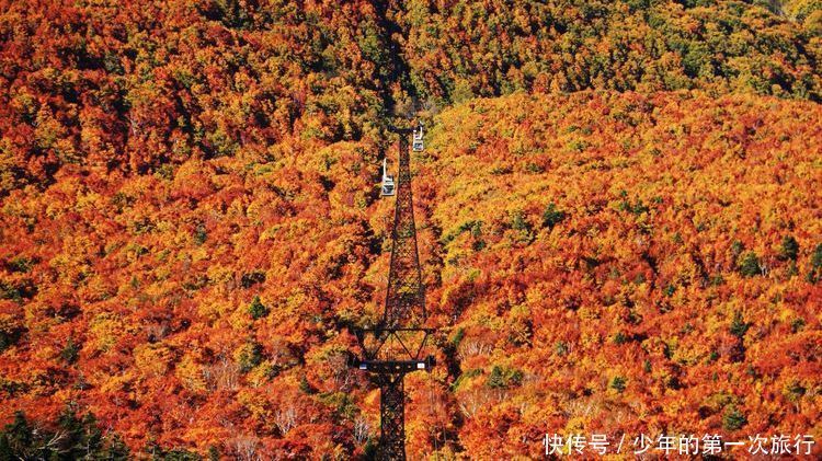 从不老不死温泉，到梦幻般的地狱沼泽，青森这些景点让人值得一去